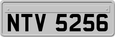 NTV5256