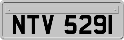 NTV5291