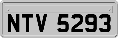 NTV5293