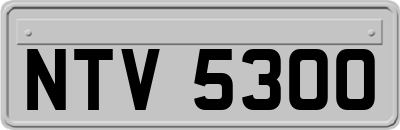 NTV5300