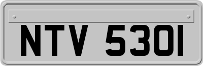 NTV5301