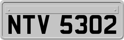 NTV5302