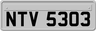 NTV5303