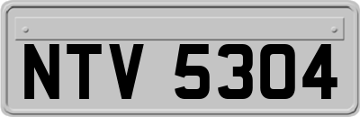 NTV5304