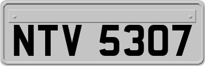 NTV5307