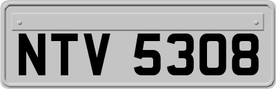 NTV5308