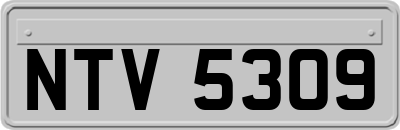 NTV5309