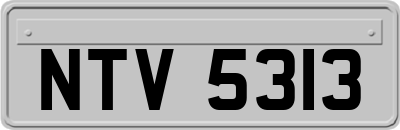 NTV5313