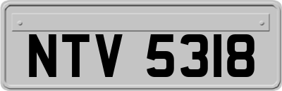 NTV5318