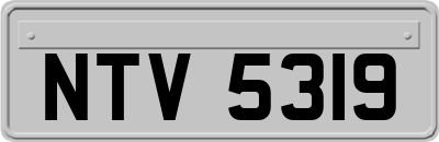 NTV5319