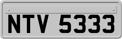 NTV5333