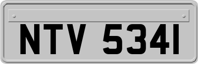 NTV5341