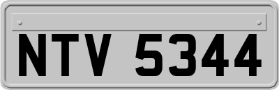 NTV5344