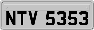 NTV5353