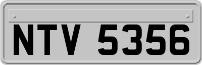 NTV5356