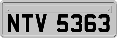 NTV5363
