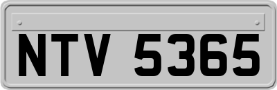NTV5365