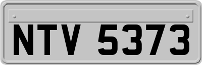 NTV5373