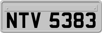 NTV5383