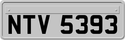 NTV5393