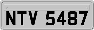 NTV5487