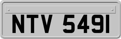 NTV5491