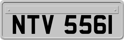NTV5561