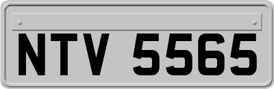 NTV5565