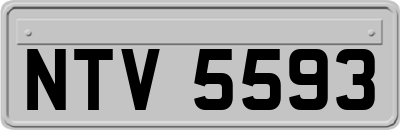 NTV5593