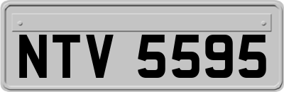 NTV5595