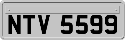 NTV5599