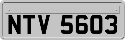 NTV5603