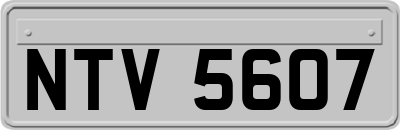 NTV5607