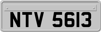 NTV5613