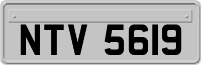NTV5619