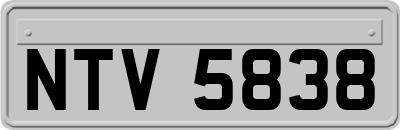 NTV5838