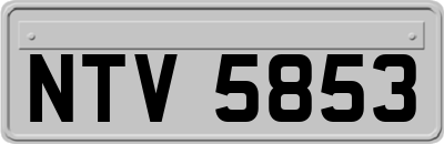 NTV5853