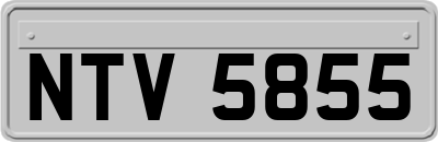 NTV5855