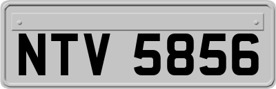 NTV5856