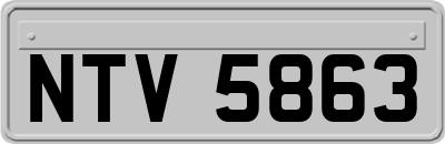 NTV5863
