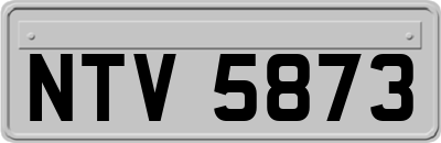 NTV5873