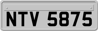 NTV5875