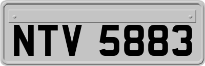 NTV5883