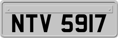 NTV5917