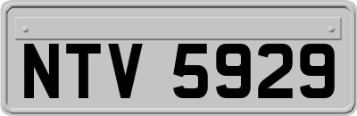 NTV5929