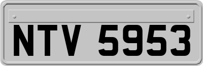 NTV5953