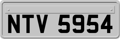 NTV5954
