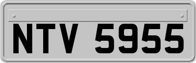 NTV5955