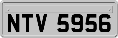 NTV5956