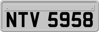 NTV5958